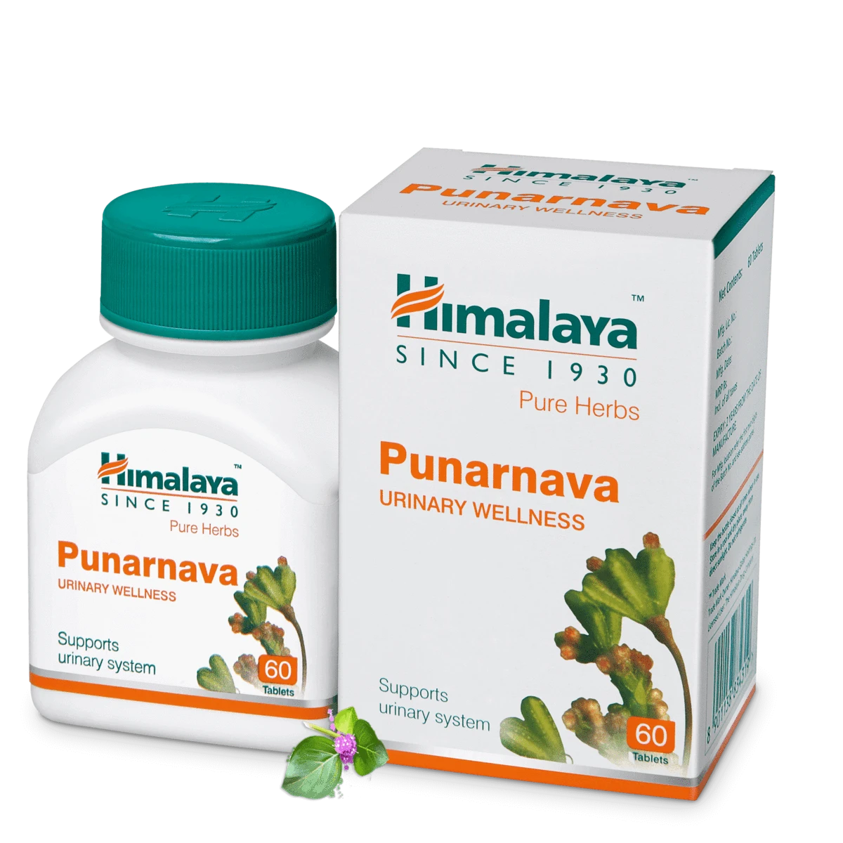 Himalaya Boerhaavia Urinary